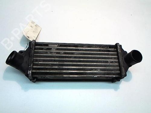 Used Intercooler Intercooler OPEL ASTRA F Estate (T92) 1.7 TD (F35, M35) (68 hp) 25643488 25643488