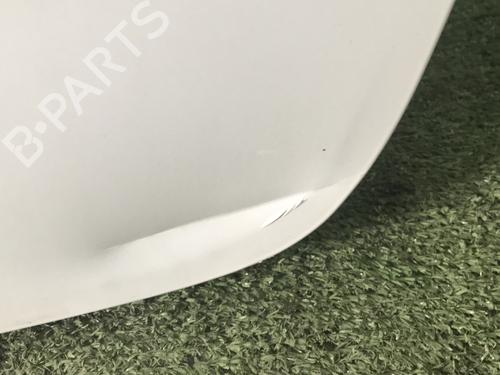 Used Tailgate Tailgate RENAULT CLIO III (BR0/1, CR0/1) 1.5 dCi (C/BR0G, C/BR1G) (68 hp) 29425901 29425901