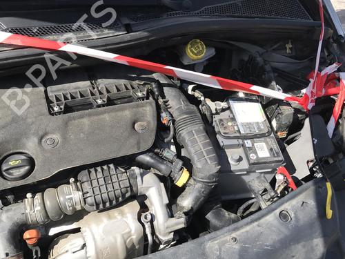  - Image 7