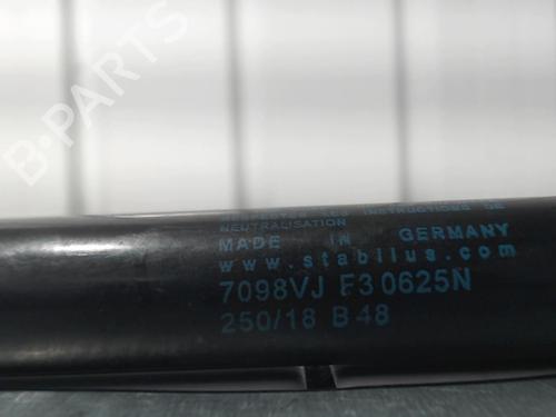 tailgate-lift-support-renault-scenic-ii-jm01_-2003-2004-2005-2006-2007-2008-2009-2010-32386478 main image