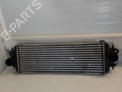 Used Intercooler Intercooler RENAULT TRAFIC II Van (FL) 1.9 dCi 100 (FL0C, FL0K, FL0B) (101 hp) 25637118 25637118