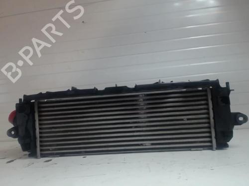 Used Intercooler Intercooler RENAULT TRAFIC II Van (FL) 2.5 dCi 145 (FL0J) (146 hp) 25632140 25632140