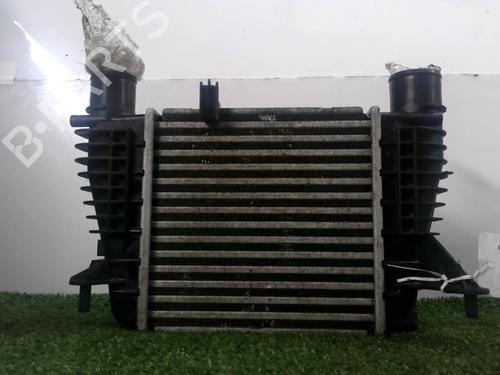 Used Intercooler RENAULT CLIO III Grandtour (KR0/1_) 1.5 dCi (KR0F) (86 hp) 31355118