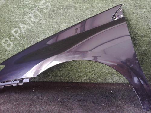 Used Left front fenders RENAULT LAGUNA III (BT0/1) 2.0 dCi (BT07, BT0J, BT14, BT1A, BT1S) (131 hp) 25628106