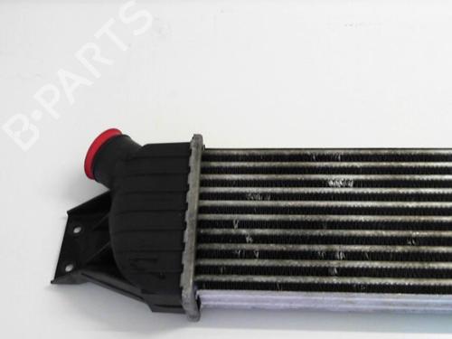 Intercooler SSANGYONG STAVIC 2.7 270 sXDi 4x4 | BP25646555M30 