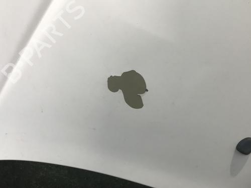 Cofano anteriore PEUGEOT 206 Hatchback (2A/C) 1.4 HDi eco 70 | BP30888471C1