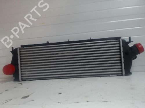 Used Intercooler RENAULT TRAFIC II Van (FL) 2.5 dCi 145 (FL0J) (146 hp) 25632140
