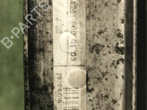 Used Water radiator MERCEDES-BENZ R-CLASS (W251, V251) R 320 CDI 4-matic (251.022, 251.122) (224 hp) 30484964