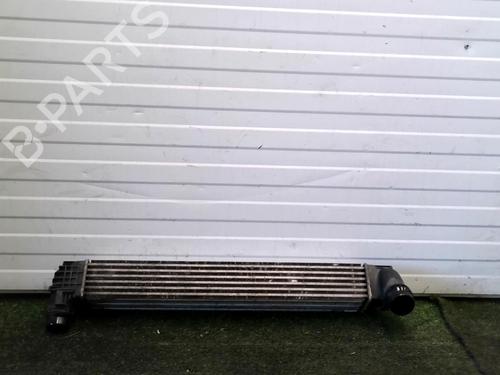 Used Intercooler Intercooler RENAULT SCÉNIC III (JZ0/1_) 1.5 dCi (110 hp) 32427851 32427851