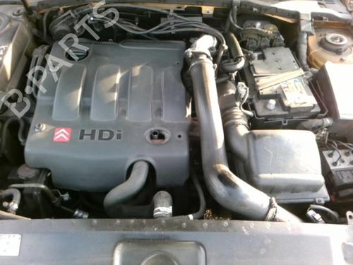 Køler CITROËN XSARA Break (N2) 2.0 HDi 109 | BP25646065M31 