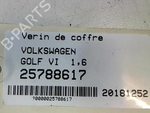 Tailgate lift support VW GOLF VI (5K1) 1.6 TDI | BP25635577C138 