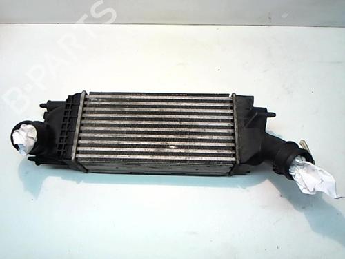 Used Intercooler PEUGEOT 407 SW (6E_, 6D_) 2.0 HDi 135 (136 hp) 25647095