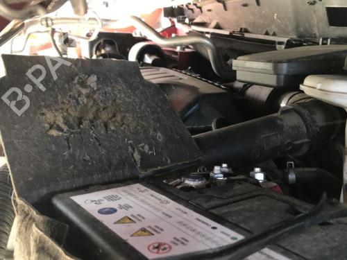 Right sun visor RENAULT KADJAR (HA_, HL_) 1.6 dCi 130 (HLA4) | BP29611978I2  - Image 12