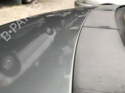 Right front door FIAT GRANDE PUNTO (199_) 1.3 D Multijet | BP25631333C3 