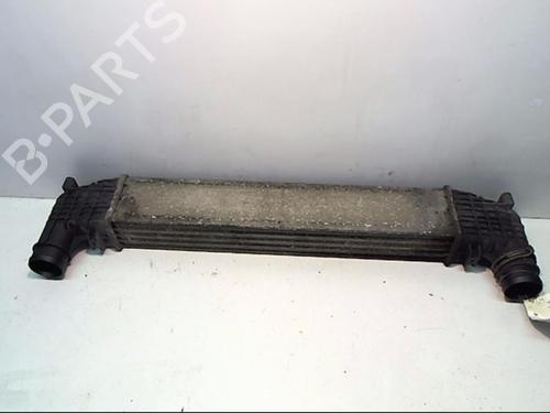 Used Intercooler Intercooler VW SHARAN (7M8, 7M9, 7M6) 1.9 TDI (110 hp) 25641329 25641329