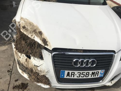 Starter AUDI A3 (8P1) 1.6 TDI | BP31049124M8  - Image 22