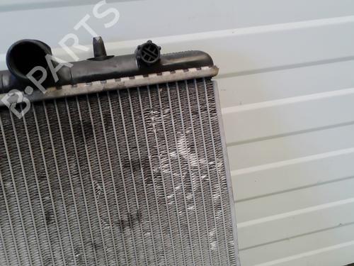 Water radiator PEUGEOT 206+ (2L_, 2M_) 1.4 HDi eco 70 | BP29412179M31 