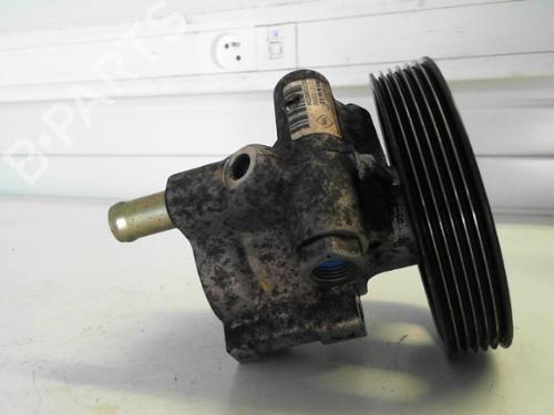 Steering pump RENAULT LAGUNA II Grandtour (KG0/1_) 1.9 dCi (KG0G) | BP25646591M99 
