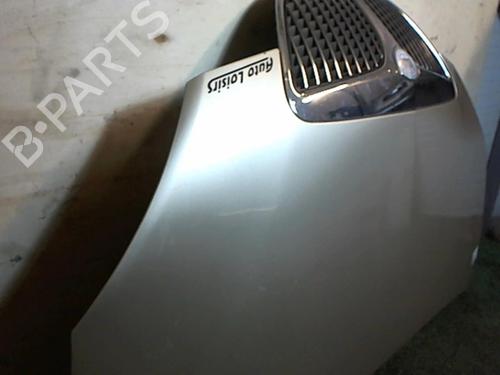 Hood LANCIA MUSA (350_) 1.9 D Multijet (350.AXC1A) | BP25650728C1 