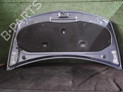 Hood RENAULT CLIO III (BR0/1, CR0/1) 1.5 dCi (BR17, CR17) | BP25636419C1 