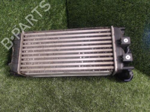 Used Intercooler Intercooler PEUGEOT 308 I (4A_, 4C_) 1.6 HDi (92 hp) 25648413 25648413