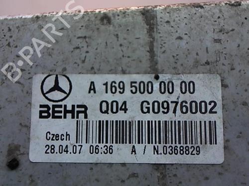 Intercooler Intercooler MERCEDES-BENZ B-CLASS Sports Tourer (W245) B 180 CDI (245.207) (109 hp) 25638245 25638245