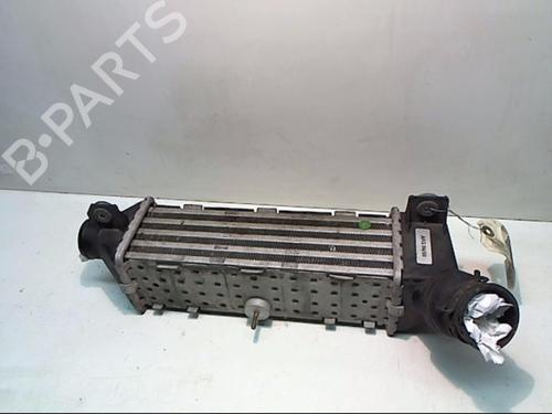 Used Intercooler Intercooler SEAT CORDOBA (6K1, 6K2) 1.9 TDI (90 hp) 25651465 25651465