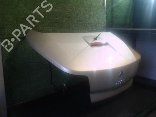 Tailgate RENAULT MEGANE II Coupé-Cabriolet (EM0/1_) 1.9 dCi | BP25647603C6 
