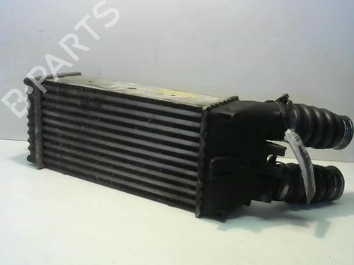 Used Intercooler CITROËN XSARA PICASSO (N68) 1.6 HDi (109 hp) 25651281