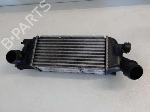 Intercooler PEUGEOT 407 SW (6E_, 6D_) 2.0 HDi 135 | BP25637139M30 