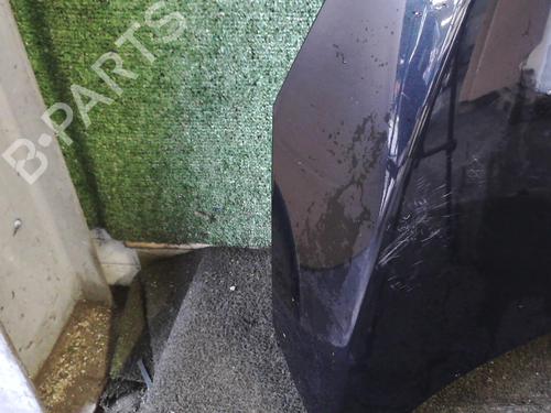 Hood RENAULT SCÉNIC III (JZ0/1_) 1.5 dCi (JZ02, JZ0R) | BP25628718C1