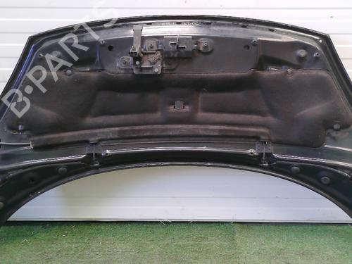 Hood RENAULT SCÉNIC III (JZ0/1_) 1.5 dCi | BP29568900C1 
