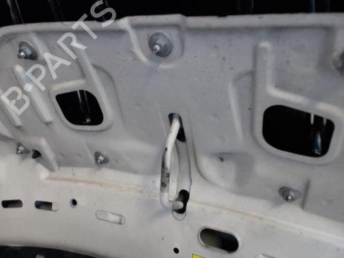 Used Hood Hood LANCIA MUSA (350_) 1.3 D Multijet (350.AXM11, 350.AXM1A, 350.AXI1A) (95 hp) 25633196 25633196