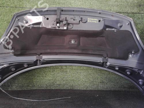 Hood RENAULT SCÉNIC III (JZ0/1_) 1.5 dCi | BP25892437C1