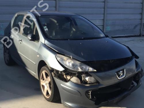 Left rear door PEUGEOT 307 (3A/C) 1.6 HDi | BP25628759C4 