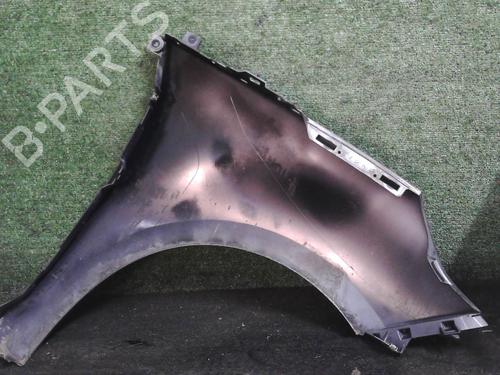 Left front fenders RENAULT SCÉNIC III (JZ0/1_) 1.5 dCi | BP25644495C41 