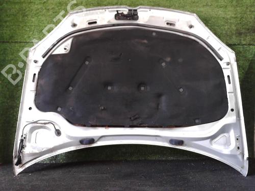 Hood VW GOLF V (1K1) 1.9 TDI | BP25636256C1 