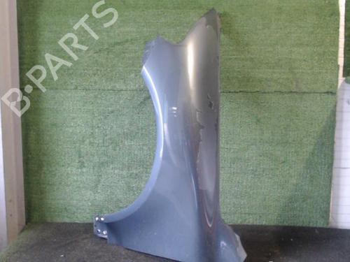 Left front fenders VW TOUAREG (7LA, 7L6, 7L7) 2.5 R5 TDI | BP25645043C41 