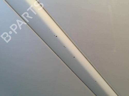 Left rear door RENAULT CLIO III (BR0/1, CR0/1) 1.5 dCi (C/BR0G, C/BR1G) | BP29335522C4 