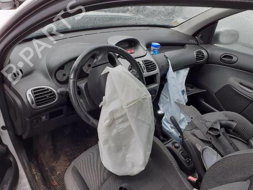 Right rear door PEUGEOT 206 Hatchback (2A/C) 1.4 HDi eco 70 | BP25645799C5 