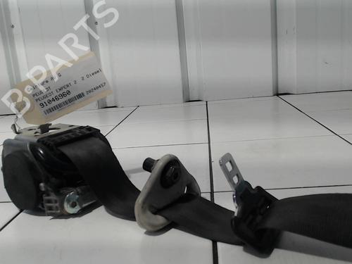 Front left belt tensioner PEUGEOT EXPERT Van (VF3A_, VF3U_, VF3X_) 2.0 HDi 120 | BP29539081C87 