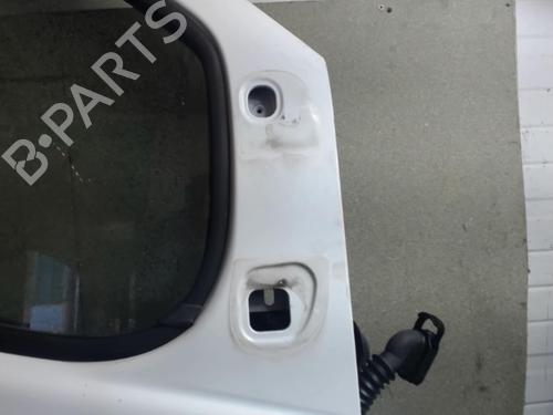 Right front door NISSAN PRIMASTAR Van (X83) 2.5 dCi 150 | BP25645754C3 