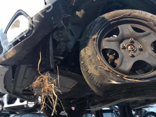 AC compressor DACIA SANDERO II 1.5 Blue dCi 95 (B8JL) | BP25648156M34  - Image 38