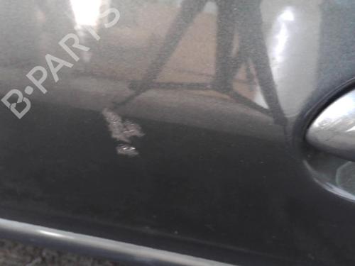 Left front door PEUGEOT 206+ (2L_, 2M_) 1.4 HDi eco 70 | BP29412178C2 
