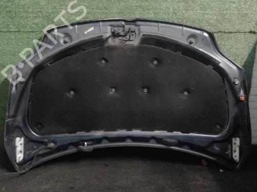 Hood VW GOLF PLUS V (5M1, 521) 1.9 TDI | BP25642176C1 