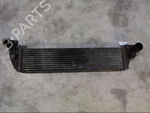 Used Intercooler Intercooler RENAULT LAGUNA II (BG0/1_) [2001-2007] 25647218 25647218