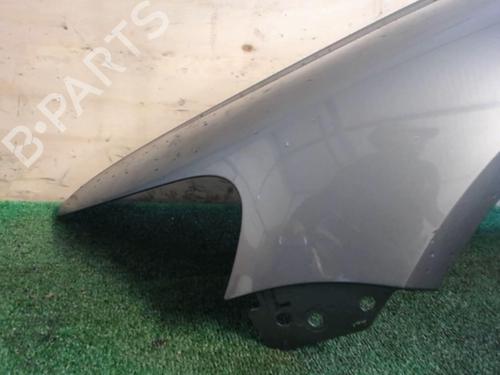 Left front fenders VW TOUAREG (7LA, 7L6, 7L7) 3.0 V6 TDI | BP25639671C41 
