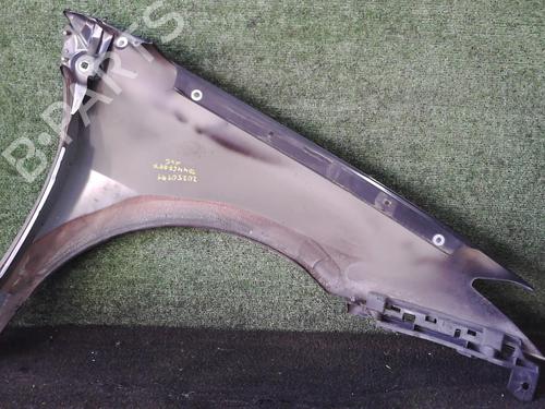 Left front fenders RENAULT LAGUNA III (BT0/1) 2.0 dCi (BT07, BT0J, BT14, BT1A, BT1S) | BP25628106C41 