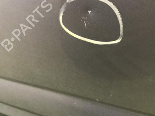 left-front-door-citroen-ds3-sa_-2009-2010-2011-2012-2013-2014-2015-2016-29940243 main image