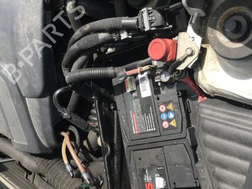 - Image 19